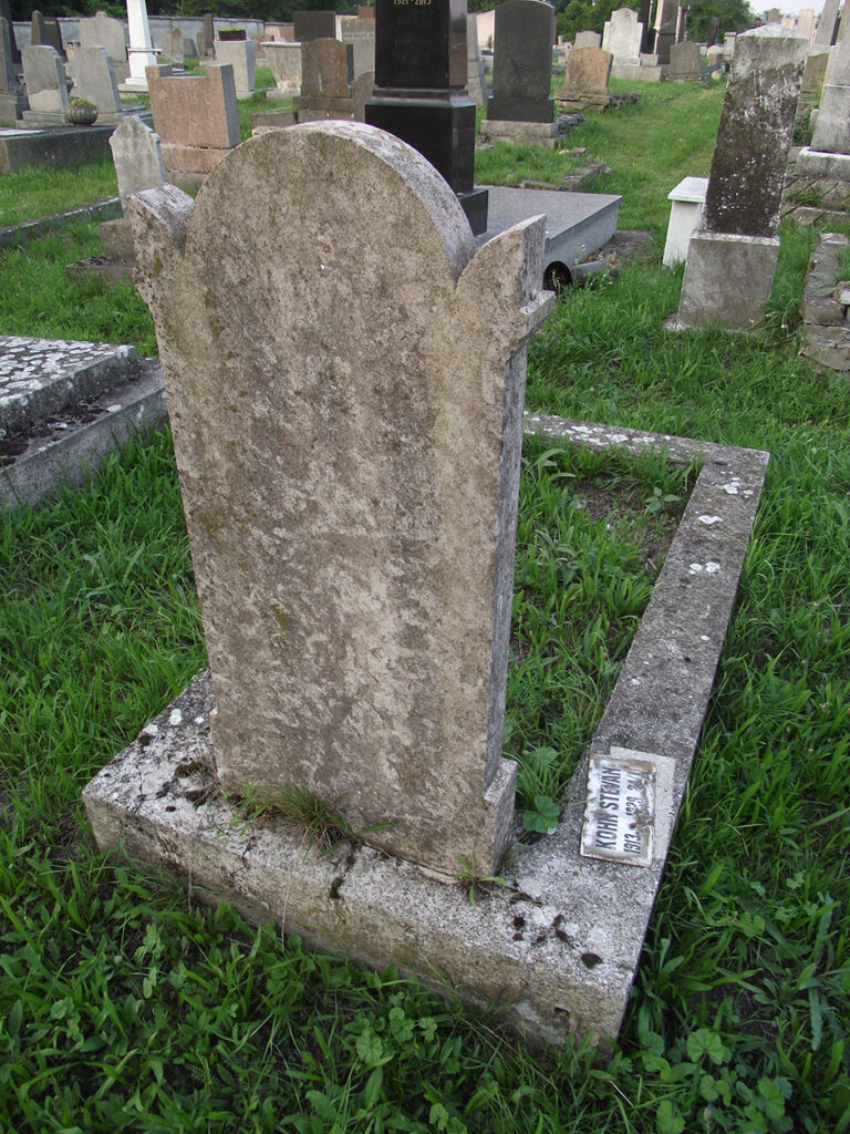 DSCF0006