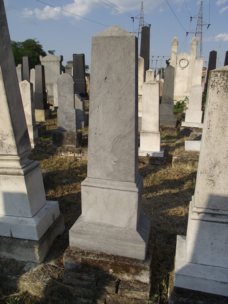 DSCF0106