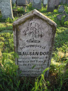 DSCF0140
