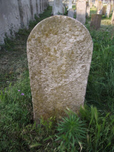 DSCF0142