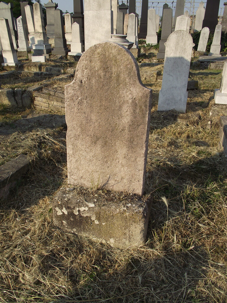 DSCF0226