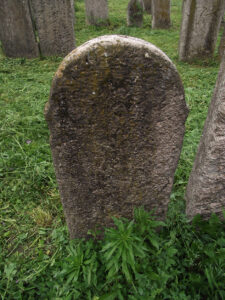 DSCF0261