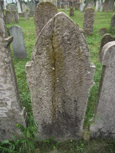 DSCF0376