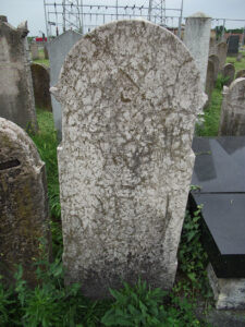DSCF0392