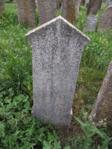 DSCF0411