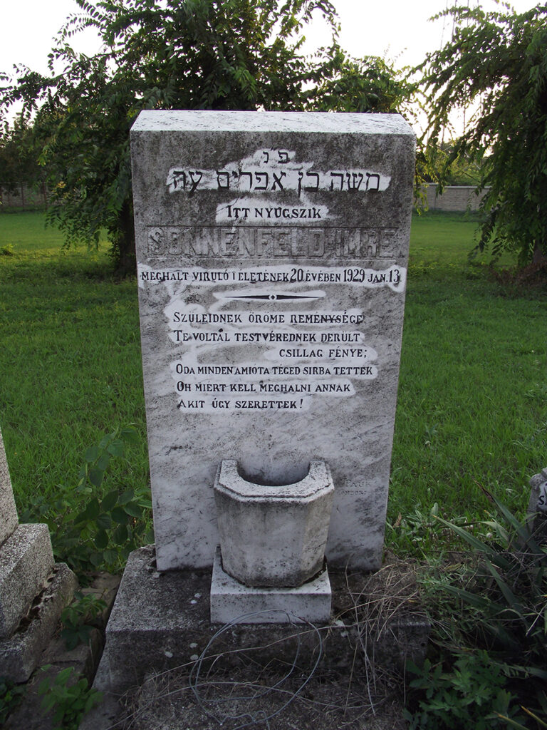 DSCF0547