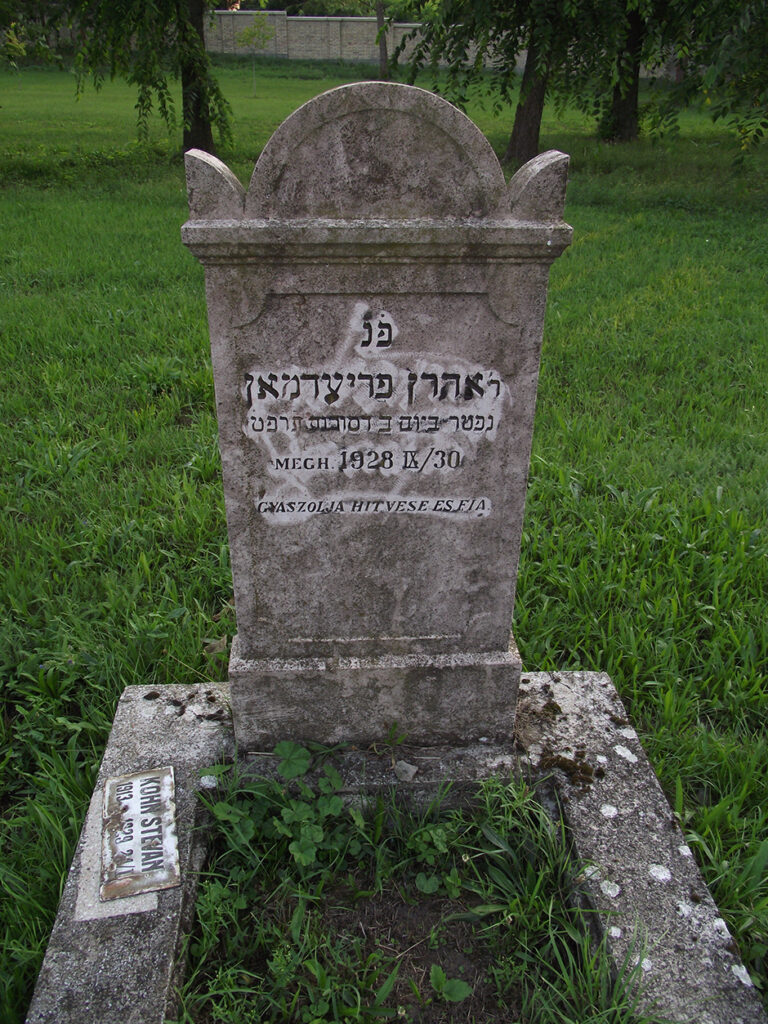 DSCF0553
