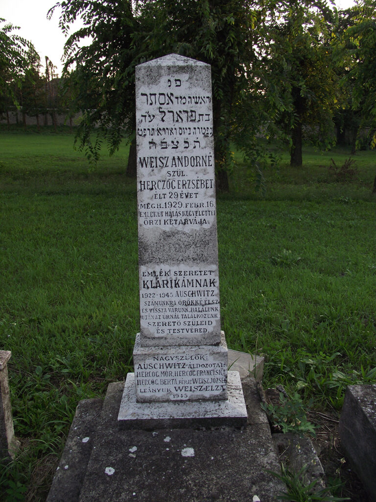DSCF0557